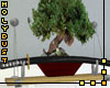 Sword/Bonsai for Shelf