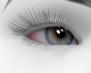 F Eyes 4
