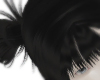 MIYAGE
