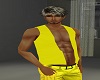 ~HD Yellow Vest