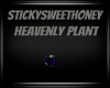 StickySweetHoney Plant