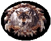 Dreamcatcher button
