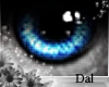 `Ⓓ`Doll Eyes 8