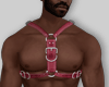 Harness Pink 2