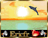 [Efr] Happy Dolphin A&Sd