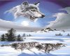 Winter Wolf 2