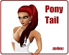 Wine Pony Tail Hair