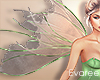 Tinkerbell Fairy Wings