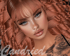 Lauda Ginger