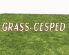 GM' Grass - Cesped round