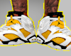 Air Jordans 6s