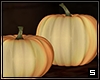 Pumpkins Deco Ivorish