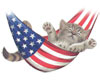 4th of July kitty