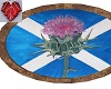 Witchy Scottish Flag