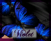 (V)hair butterflies blue