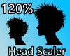 120% HEAD SCALER