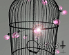 S†N Light Cage 2