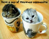 meow-ca cappuccino