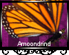 AM:: Monarch butterfly