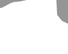 AKDP Staff