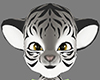 white tiger F furry head
