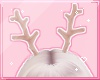 ℓ fawn horns