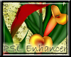 PSL Callalilies 2 En