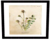 Botanical Print 4