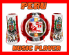 llzM.. PERU Music player