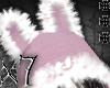 bunny ★彡