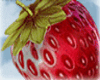 Strawberry Lolipop