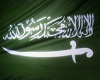[Dr] saudi flag pict