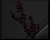 Red/blck climbing flower
