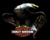 Harley Davidson Logo2