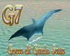 G7! Manta & Fish Animat