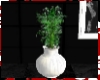 White Vase Potted Plant