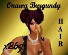 [B69]Onawa BURGUNDY