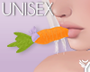 🇾 Bunny Carrot Lilac