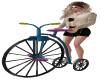 Fun Adult Tricycle