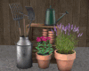 *Garden Plants / Tools