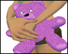 Pink n Purple Teddy