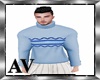 Sueter/Sweater