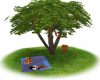 picnic under apple tree