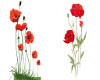 2 poppies fillers