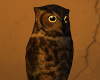 E* Owl