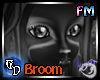 Witching Hour Broom V4