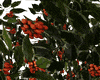 Potted Tree with Berries