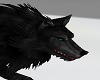 Wolf Pet