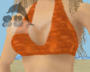 Orange V. Halter Top