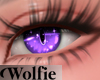 [W] Magic Cat Lilac | F